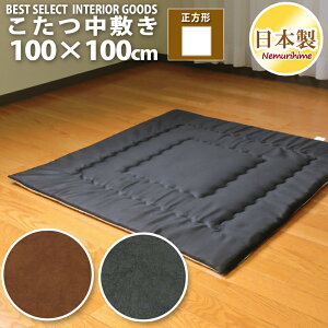 zc ~ ` 100×100cm U[ hEty Op}bg ŖȐc n { Pi P