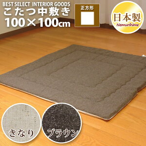 zc ~ ` 100×100cm cC[h hEty Op}bg JWA ŖȐc n { Pi P