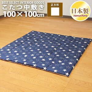 zc ~ ` 100×100cm fjX^[ hEty Op}bg 100% ŖȐc _ { Pi LbY q CeA P