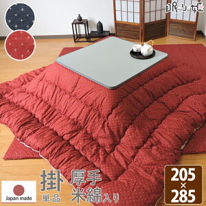 |zc 唻` 205×285cm  R hL Ėȍ hr[D 100% a { |zcPi P