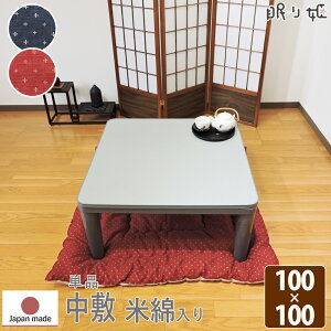 zc ~ ` 100×100cm  hr[D Ėȓ 100% a { Pi P