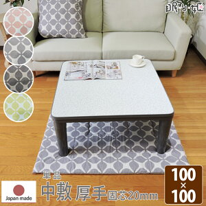 zc ~ ` 100×100cm OL IbNX Őc 100% X^CbV { Pi P