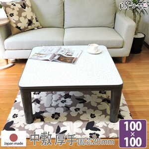 zc ~ ` 100×100cm A { 100% i` |GXec hEty Op}bg Pi P