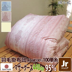 |zc Hѕzc |[hY 440dp 1.0kg WjA 100% 135×185cm zCg }U[O[X 95% w ubN 100P V[bgII {  yH꒼ڏoׁzysz