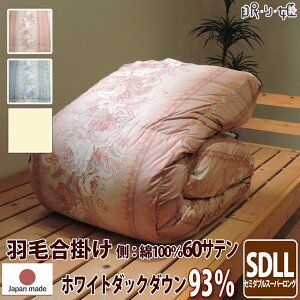 |zc Hѕzc H |[hY 400dp 1.0kg Z~_uX[p[O 100% 170×230cm zCg _bN 93% ̃Lg S[h 60Te J {  yH꒼ڏoׁzy