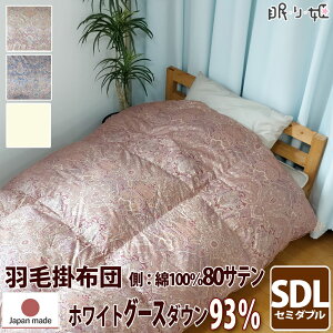 |zc Hѕzc ENCiY 400dp 1.5kg Z~_uO 100% 170×210cm zCg O[X_E 93%  w S[h 80Te GUxX {  yH꒼ڏoׁzy