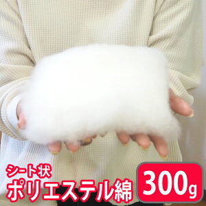 |킽 300g×1 300g 􂦂 ㎿ V[g |GXe | l | nhCh rуtFg ʂ }XRbg NbV ƂpB P