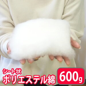 |킽 300g×2 600g 􂦂 ㎿ V[g |GXe | l | nhCh rуtFg ʂ }XRbg NbV ƂpB P