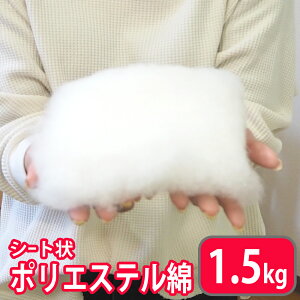 |킽 300g×5 1.5kg 􂦂 ㎿ V[g |GXe | l | nhCh rуtFg ʂ }XRbg NbV ƂpB P