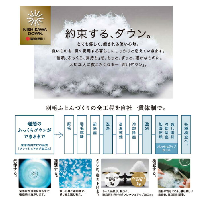 楽天市場】東京西川 プレミアム ダウンケット 肌掛け布団 羽毛布団 夏用 シングル 西川 グース 90% 綿100% サテン ヨーロッパキルト KE07255031 NP7050 spl6 : 眠りの神様 西川寝具専門店 楽天市場】東京西川 プレミアム ダウンケット 肌掛け布団 羽毛布団 夏用 シングル 西川 グース 90% 綿100% サテン ヨーロッパキルト KE07255031 NP7050 spl6 : 眠りの神様 西川寝具専門店