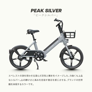 �y�����ヌ�r���[�Ńv���[���g�z �d�����]�� EVEREST XING CITY+ 20�C���` �d���A�V�X�g���]�� �q���悹 �ʋ� �ʊw �ɂ� �������� �^���F�� �擾�ς�