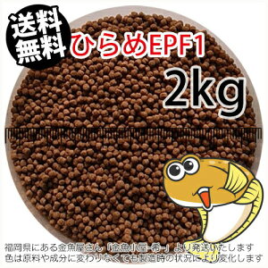 㐫/ۍgЂEPF1(2.0mm)2kgi(z̓^[pbNkkCꑗ800~^--^3)