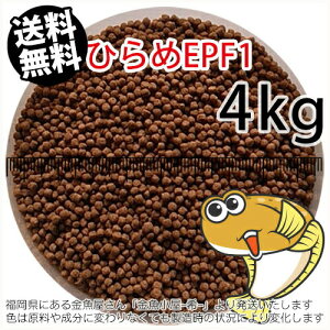 浮上性/日清丸紅飼料ひらめEPF1(2.0mm)4kg小分け品(★宅配便★※東北・北海道・沖縄は別途送料800円/金魚小屋-希-福岡/3日)