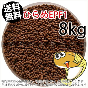 㐫/ۍgЂEPF1(2.0mm)8kgi(zցkEkCE͕ʓr800~^--^3)