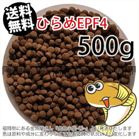 楽天市場 ヒラメ エサ 熱帯魚 アクアリウム ペット ペットグッズの通販