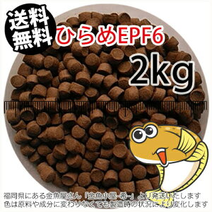 㐫/ۍgЂEPF6(6.0mm)2kgi(z̓^[pbNkkCꑗ800~^--^3)