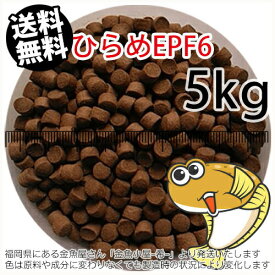 浮上性/日清丸紅飼料ひらめEPF6(6.0mm)5kg小分け品(★宅配便★※東北・北海道・沖縄は別途送料800円／金魚小屋-希-福岡／3日)