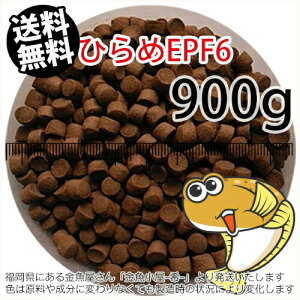 㐫/ۍgЂEPF6(6.0mm)900gi([ց^--^3)1kgKiύX