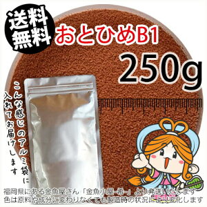 ~()ۍgƂЂB1(0.2~0.36mm)250giA~([ց^--^3)