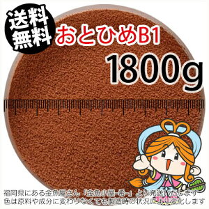 ~()ۍgƂЂB1(0.2`0.36mm)1800gi([ց^--^3)2kgKiύXJA~pE`1