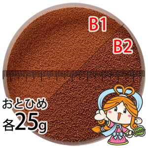 ~()ۍgƂЂB1(0.2~0.36mm)B2(0.36~0.62mm)̊e25gi([ց^--^3)