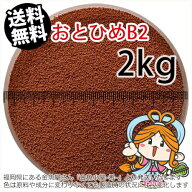 沈降性(沈下性)日清丸紅飼料おとひめB2(0.36~0.62mm)2kg(宅配もしくはレターパック※東北北海道沖縄送料8…
