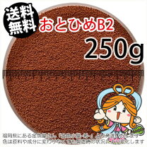 楽天市場】めだか 餌 ライズ 2号の通販