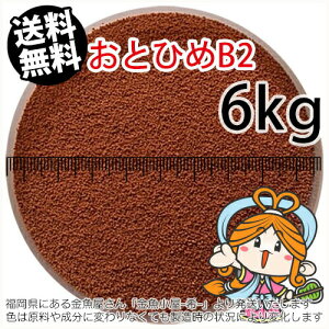 ~()ۍgƂЂB2(0.36~0.62mm)6kgi(zցkEkCE͕ʓr800~^--^3)