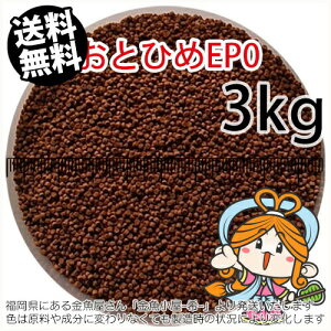~()ۍgƂЂEP0(1.3mm)3kgi(zցkEkCE͕ʓr800~^--^3)