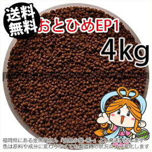~()ۍgƂЂEP1(1.3`1.7mm)4kgi(zցkEkCE͕ʓr800~^--^3)