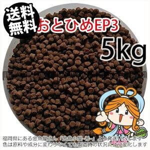 ~()ۍgƂЂEP3(2.9`3.3mm)5kgi(zցkEkCE͕ʓr800~^--^3)