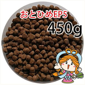 ~()ۍgƂЂEP5(5.1`4.3mm)450gi([ց^--^3)500gKiύX