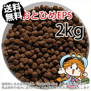 ~()ۍgƂЂEP5(5.1`4.3mm)2kgi(z̓^[pbNkkCꑗ800~^--^3)
