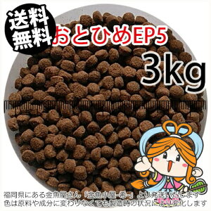 ~()ۍgƂЂEP5(5.1`4.3mm)3kgi(zցkEkCE͕ʓr800~^--^3)