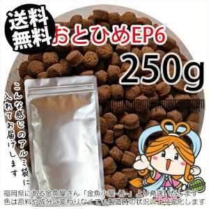 アクアリウム用エサ 熱帯魚 おとひめの人気商品 通販 価格比較 価格 Com
