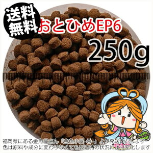 ~()ۍgƂЂEP6(6.4`5.4mm)250gi([ց^--^3)