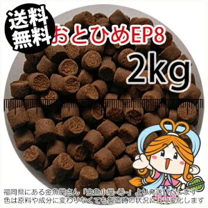 ~()ۍgƂЂEP8(8.0`6.8mm)2kgi(z̓^[pbNkkCꑗ800~^--^3)