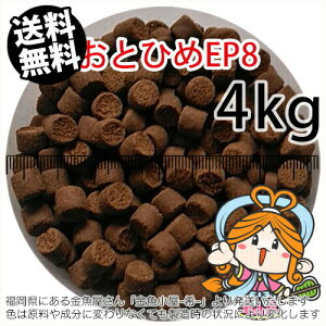 ~()ۍgƂЂEP8(8.0`6.8mm)4kgi(zցkEkCE͕ʓr800~^--^3)