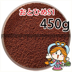~()ۍgƂЂS1(1.0mm)450gi([ց^--^3)500gKiύX