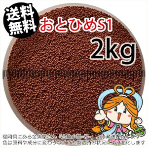 ~()ۍgƂЂS1(1.0mm)2kg(z̓^[pbNkkCꑗ800~^--^3)JA~pE`