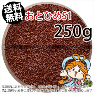 ~()ۍgƂЂS1(1.0mm)250gi([ց^--^3)