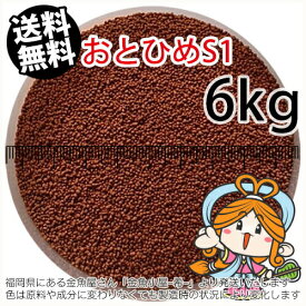 沈降性(沈下性)日清丸紅飼料おとひめS1(1.0mm)6kg小分け品(★宅配便★※東北・北海道・沖縄は別途送料800円／金魚小屋-希-福岡／3日)