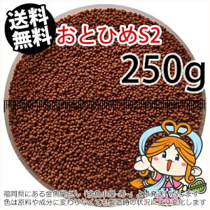 ~()ۍgƂЂS2(1.4mm)250gi([ց^--^3)