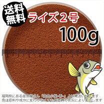 楽天市場】ライズ2号 メダカの通販
