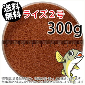 ۍgCY2(a0.36mm)300gi([ց^--^3)