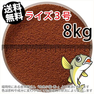 日清丸紅飼料ライズ3号(粒径0.36〜0.65mm)8kg小分け品(★宅配便★※東北・北海道・沖縄は別途送料800円/金魚小屋-希-福岡/3日)