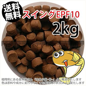 㐫/ۍgЂ߃XCOEPF10(10.0mm)2kgi(z̓^[pbNkkCꑗ800~^--^3)