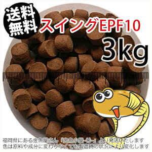 㐫/ۍgЂ߃XCOEPF10(10.0mm)3kgi(zցkEkCE͕ʓr800~^--^3)