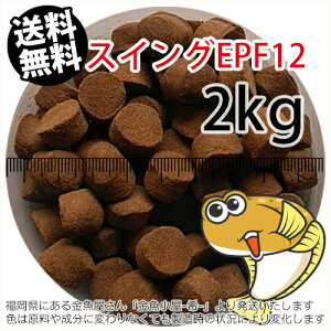 㐫/ۍgЂ߃XCOEPF12i12.3mm)2kgi(z̓^[pbNkkCꑗ800~^--^3)