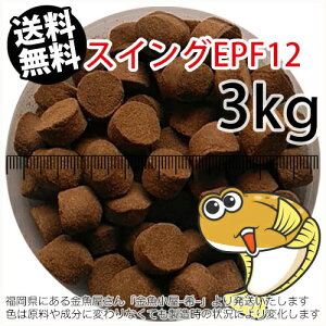 㐫/ۍgЂ߃XCOEPF12i12.3mm)3kgi(zցkEkCE͕ʓr800~^--^3)